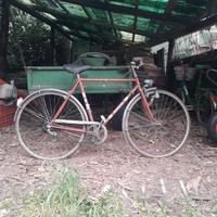 3 bici di cui 2 carnielli