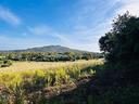 terreno-edificabile-vicino-al-mare