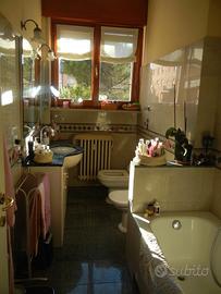 Stanza in città studi