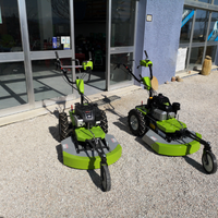 Rasaerba tagliaerba sfalciaerba trinciaerba Grillo