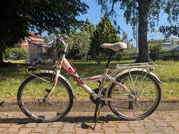 Carnielli 24"