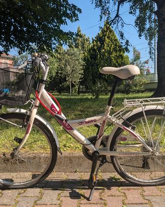 Carnielli 24"