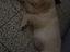 Immagine 6