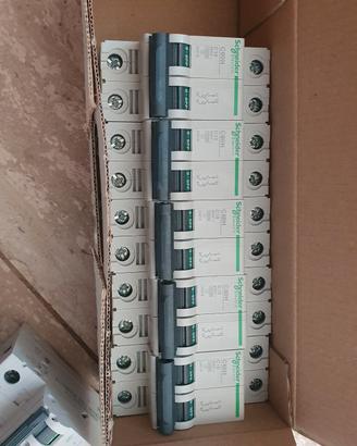 Magnetotermici Schneider C60H C10