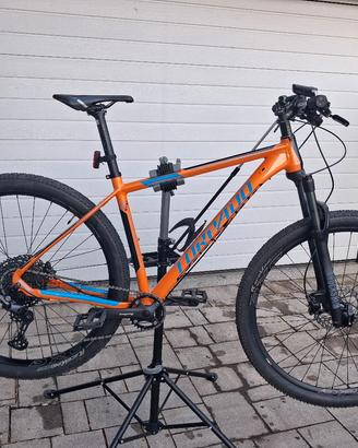 MTB TORPADO NEARCO