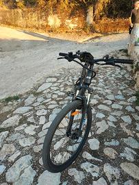 bicicletta pedalata assistita