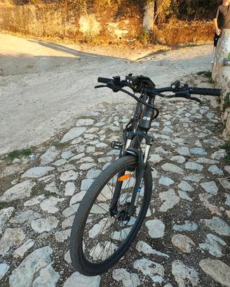 bicicletta pedalata assistita