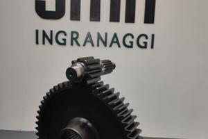 Ingranaggio e Pignone Landini 4005/5005