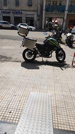 Benelli TRK 702 - 2024