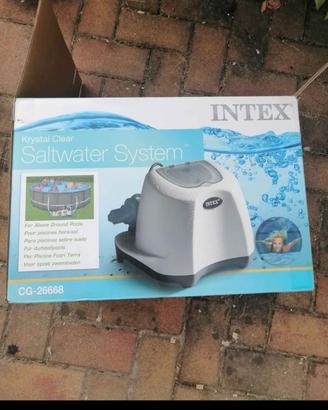 Clorinizzatore Intex per piscina
