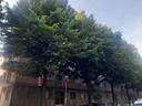 appartamento-torino-cod-rif-3318702arg-