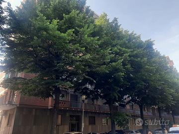 Appartamento Torino [Cod. rif 3318702ARG]