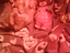 Immagine 6