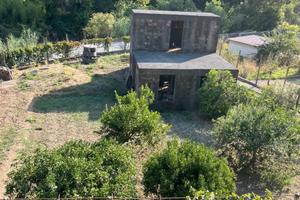 Proprietà vicino Diamante immersa nel verde