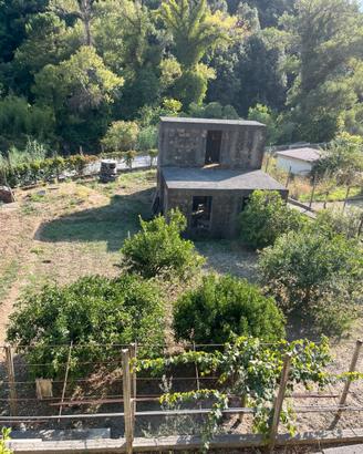 Proprietà vicino Diamante immersa nel verde
