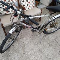 Bici mountain bike Chiorda