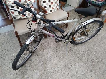 Bici mountain bike Chiorda