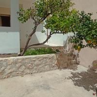 Casa caratteristica con giardino quartiere "Dente"