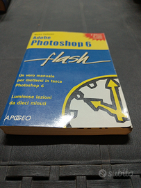 Adobe photoshop 6 - Flash