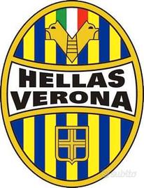 abbigliamento Hellas Verona 