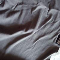 Fascia elastica