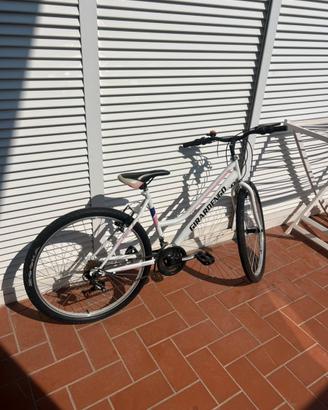 bicicletta