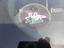 Immagine 16