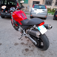 Ducati monster 600