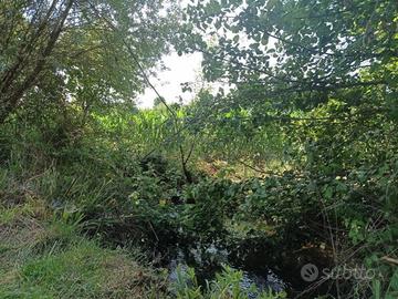 Terreno agricolo a terrazze zona Lapio