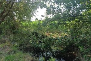 Terreno agricolo a terrazze zona Lapio