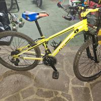 bici mtb 24