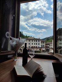 Greve in Chianti - camera con vista
