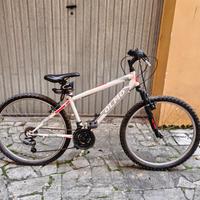 bicicletta Mountain bike OLMO 26