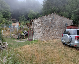 Casetta ( metato)