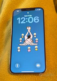 IPhone 12 Pro Max 256