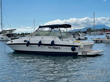 CONAM 36 Lupo di Mare