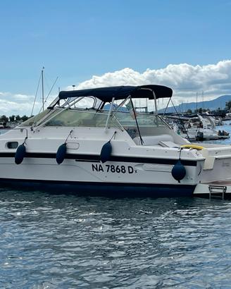 CONAM 36 Lupo di Mare