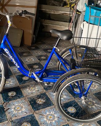 Triciclo Elettrico per adulti Sempion,pedalata ass