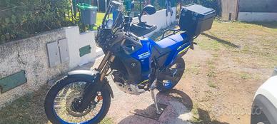 tenere' World raid 