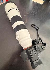 Sony 200-600