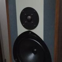 diffusori kef cantor ii