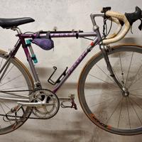 Bici da Corsa Professionale F. Moser Vintage
