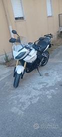 Triumph Tiger 1050