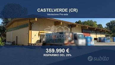 Immobile in asta di 35378 m² a Castelverde