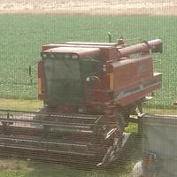 Mietitrebbia case 1640