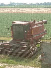 Mietitrebbia case 1640