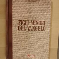 "Figli minori del Vangelo" di Domenico Agasso