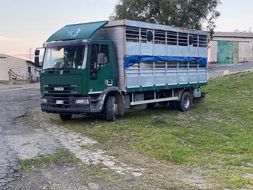 Veicolo trasporto animali vivi