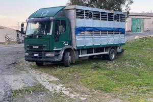 Veicolo trasporto animali vivi