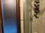 Immagine 9